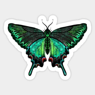 Peacock Butterfly Sticker